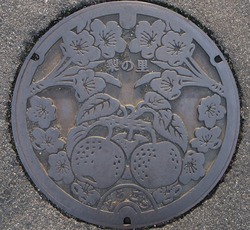 82・湯梨浜町8・旧東郷町