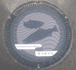 き・岐阜県(各務原市3)