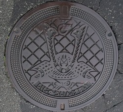 45・日置市・旧伊集院町