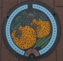 82・八代市