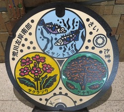 １６７・埼玉県２・荒川左岸南部流域