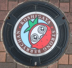 さ・埼玉県（越谷市５）