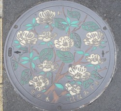 １１３・蓮田市２