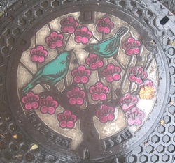 55・中津市8・旧三光村