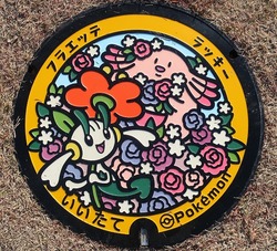 ふ・福島県（飯舘村２）