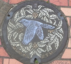 ３３・川口市３・旧鳩ヶ谷市