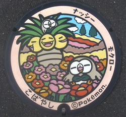 １９・小林市３