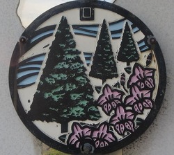 １６３・山形村