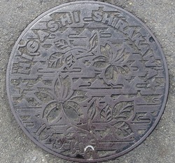 ８１・東白川村