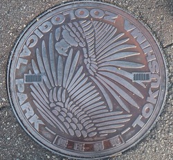 １６・徳島市２