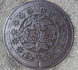 ０２・有田川町・旧吉備町