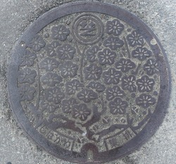 １２０・富士宮市２・旧芝川町