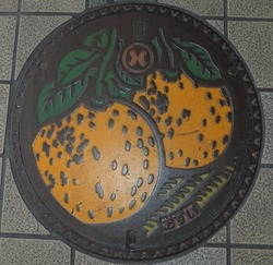 83・八代市2