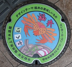 福井市4