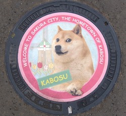 56・佐倉市7
