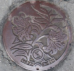 あ19・奥州市8・旧胆沢町