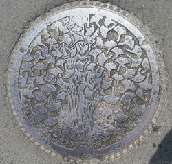 ４１・五泉市４