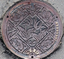 い・岩手県（西和賀町）