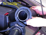 Beetle_ACF_21