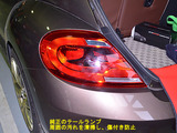 BEETLE_LTL_03