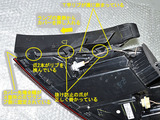 BEETLE_LTL_21