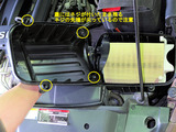 Beetle_ACF_05