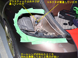 BEETLE_LTL_15