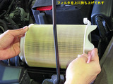 Beetle_ACF_11