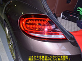 BEETLE_LTL_25