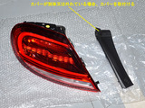 BEETLE_LTL_17