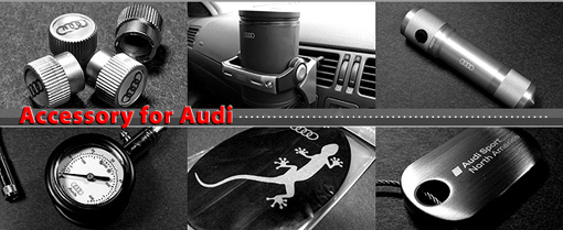AccessoryforAudi