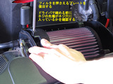 Beetle_ACF_29
