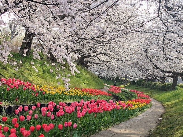 20240408_065537-EDIT