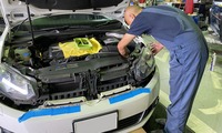 IMG_7877