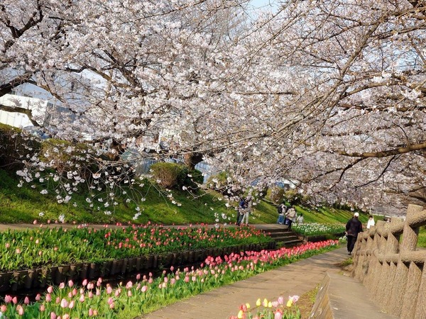 20260329_071844264-EDIT