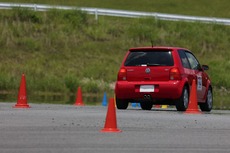 220602-Lupo-5