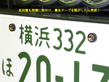 LPS_29