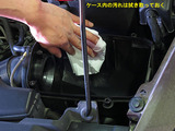 Beetle_ACF_13