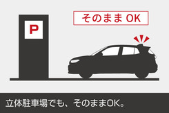 Shark_Antenna_parking
