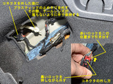BEETLE_LTL_09