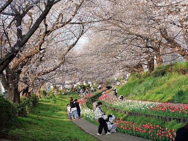 20260329_072426507-EDIT