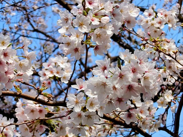 20260329_072628909-EDIT