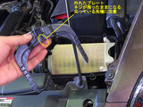 Beetle_ACF_09