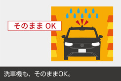 Shark_Antenna_washing