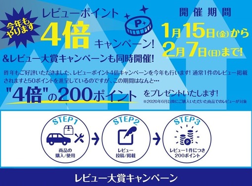 レビュー