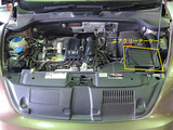 Beetle_ACF_01