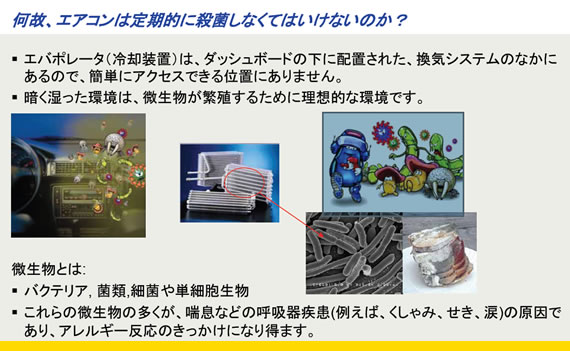 6,25 HELLA EVIDIS (2)