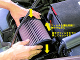 Beetle_ACF_25
