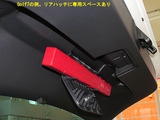 BEETLE_LTL_29