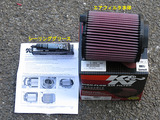 Beetle_ACF_15